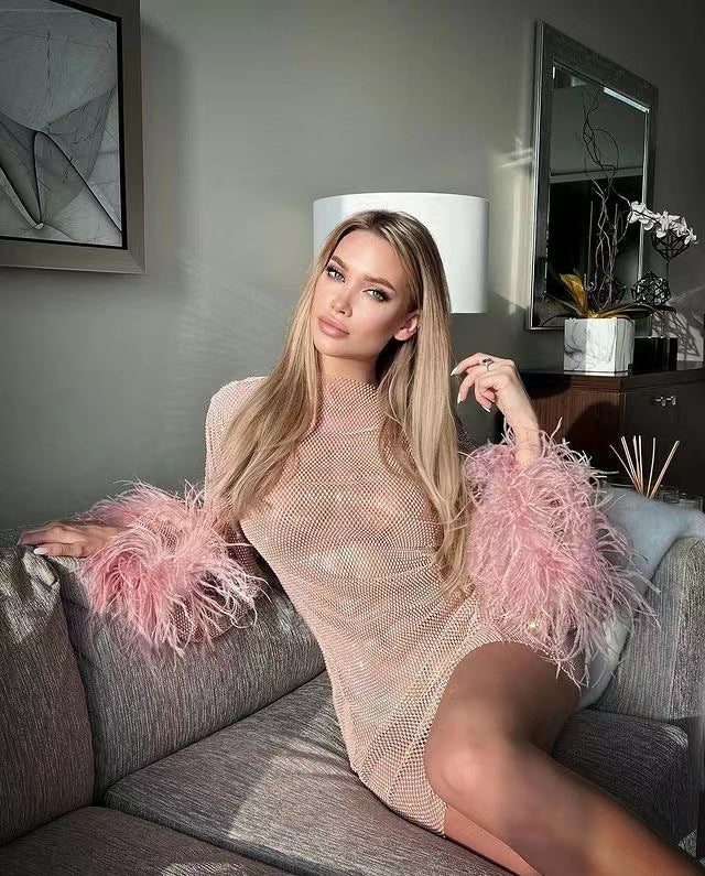 Rhinestone Dresses | Glitter Feathers Rhinestones See Through Mini Dre TGC FASHION Rhinestone Dresses | Glitter Feathers Rhinestones See Through Mini Dre TGC FASHION