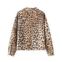 TGC Fashion Fall Outfits 2024, Brown Blazer Leopard Print Suede Jacket