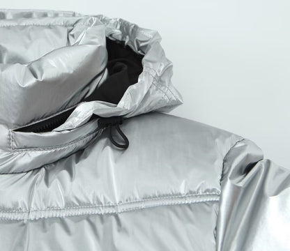 Y2K Fall Outfits | Metallic Silver Puffer Jacket