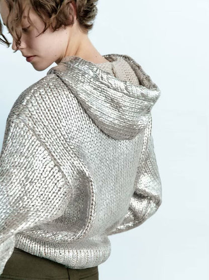 Y2K Winter Outfits | Metallic Knitted Hoodie Sweater