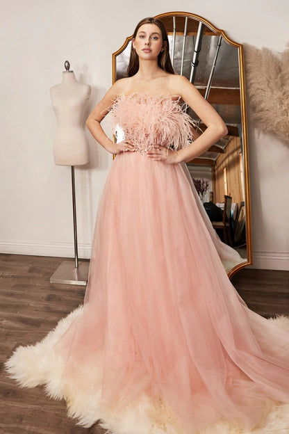 Prom Dresses 2023 | Light Pink Feathers and Glitter Long Prom Dress